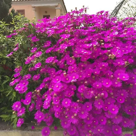 Σπίτι διακοπών Il Corallo San Teodoro (Sardinia)